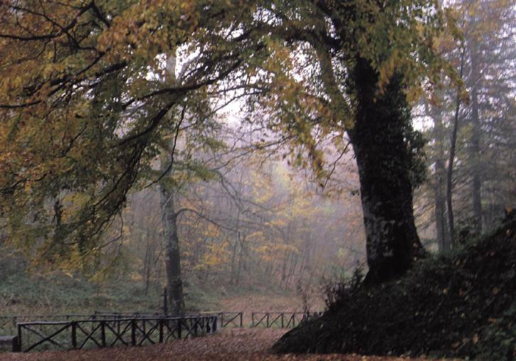 בית מלון כפרי Agriturismo Fara Del Falco