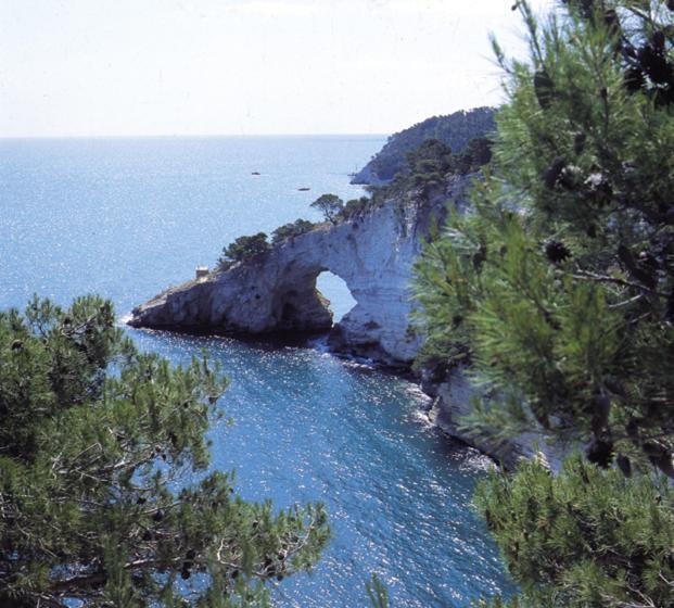 בית מלון כפרי Agriturismo Fara Del Falco