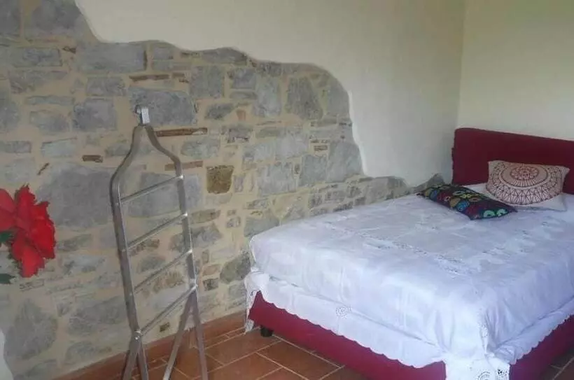 ペンション Il Tuo Posto Nel Chianti