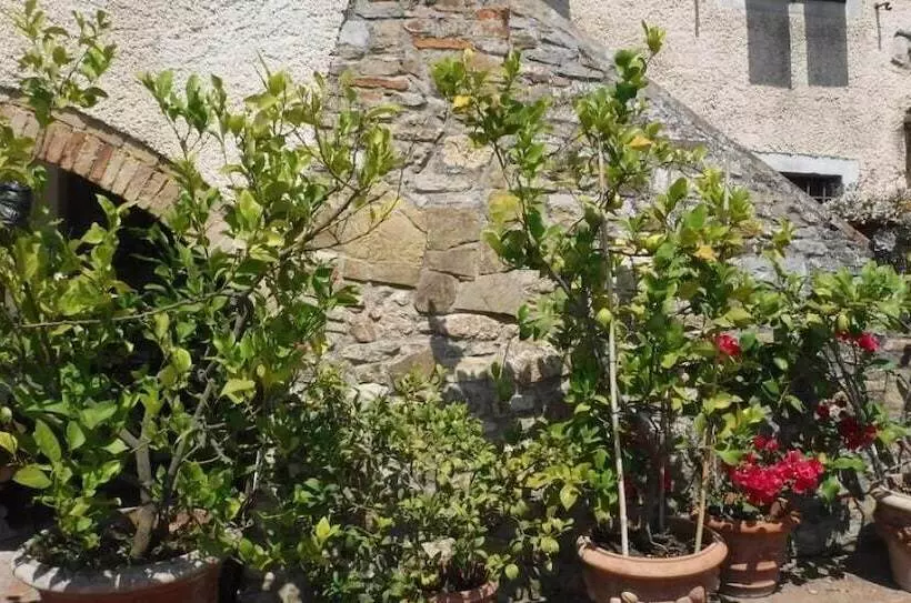 ペンション Il Tuo Posto Nel Chianti