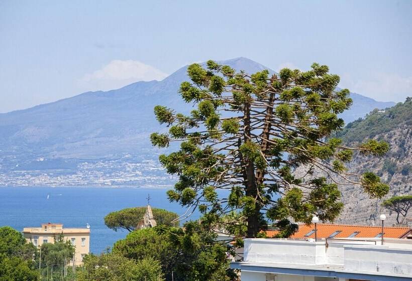 Estate4home   Alpa Suite