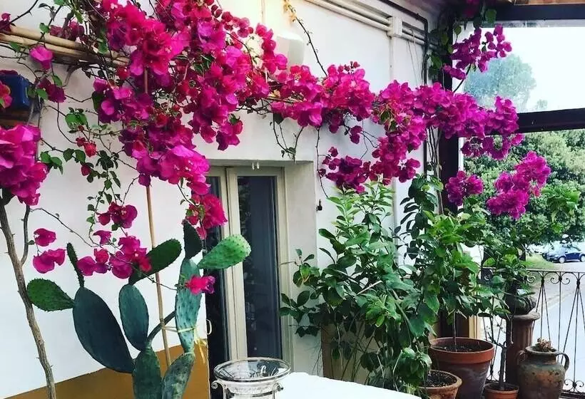 B&b Le Conce