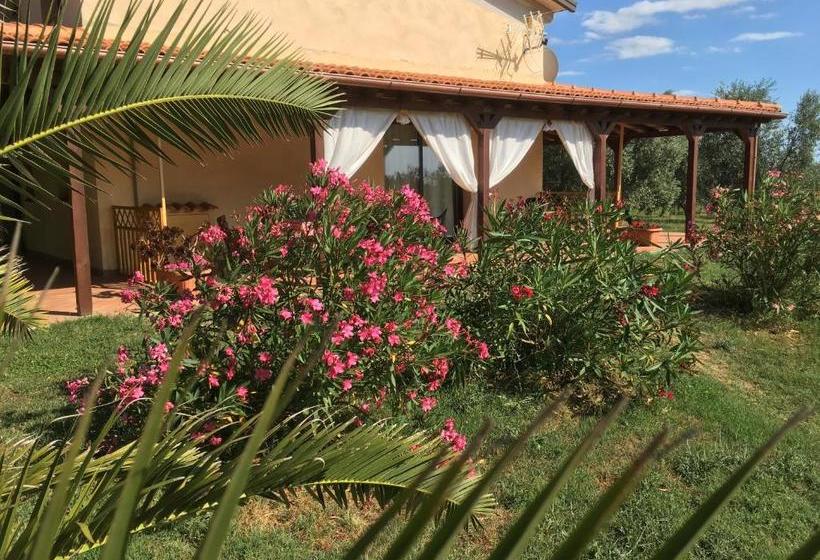 교외 호텔 Agriturismo Il Nazareno