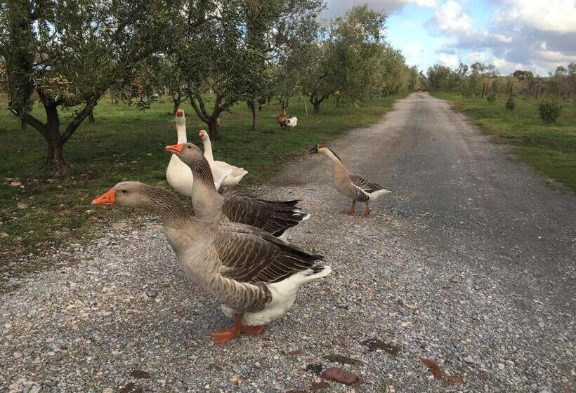 교외 호텔 Agriturismo Il Nazareno