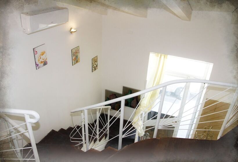 פנסיון Dandrea Vacanze