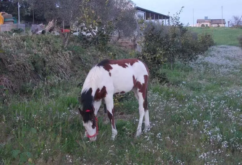 Agriturcostabaira