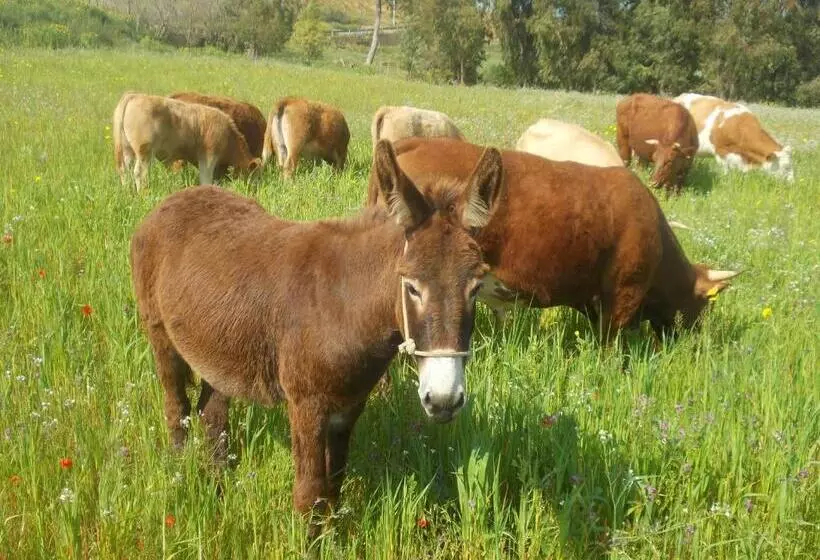 Agriturcostabaira
