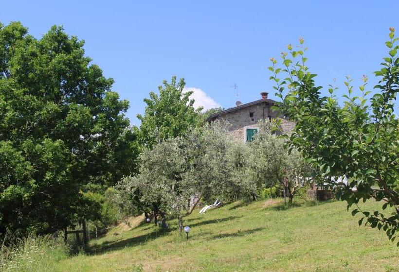 Agriturismo Angio Nel Cere
