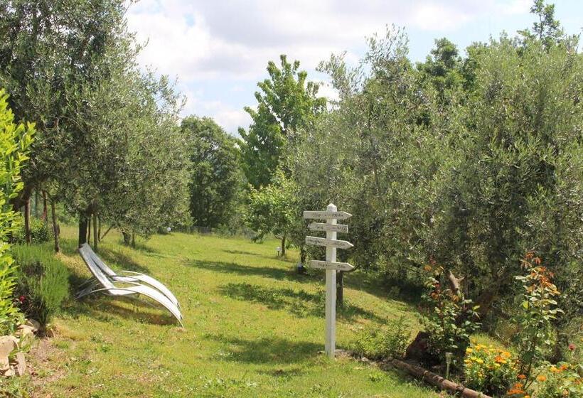 Agriturismo Angio Nel Cere