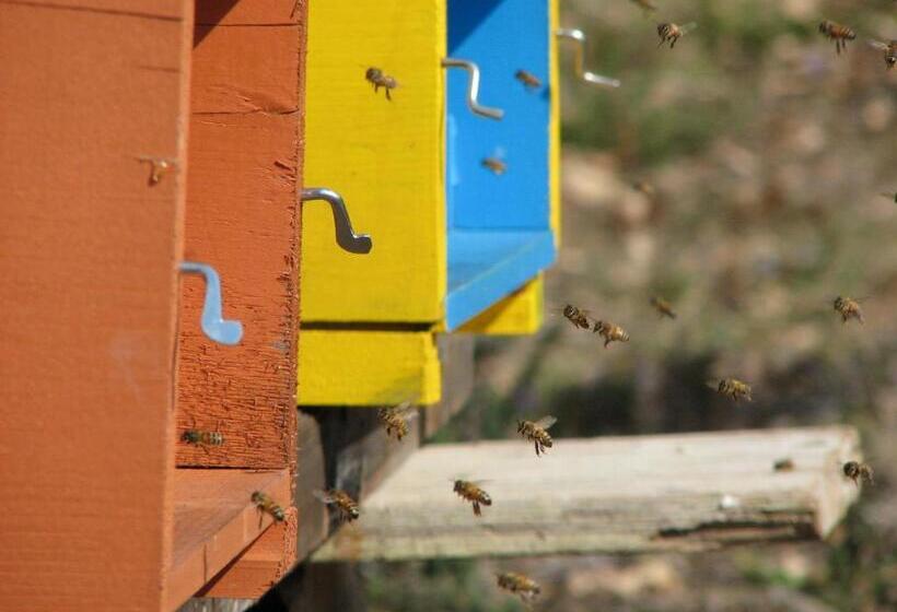 Agriturismo Angio Nel Cere