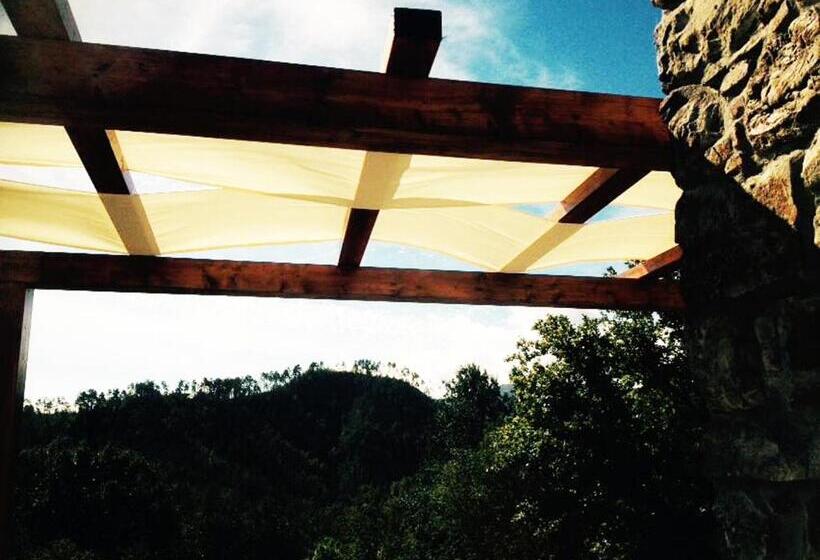 Agriturismo Angio Nel Cere