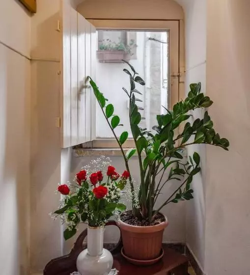 B&b Svago In Centro