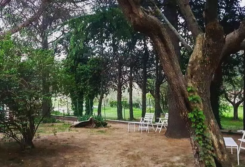 تختخواب و صبحانه Meravilla