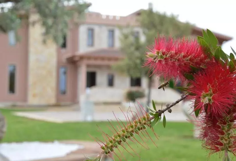 Aamiaismajoitus (B&B) Prima Luce