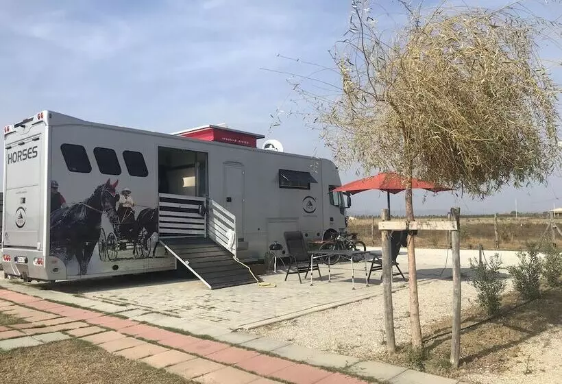 ホテル Vento Etrusco   Camping