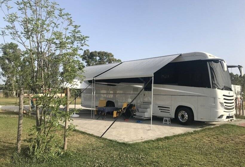 فندق Vento Etrusco Camping