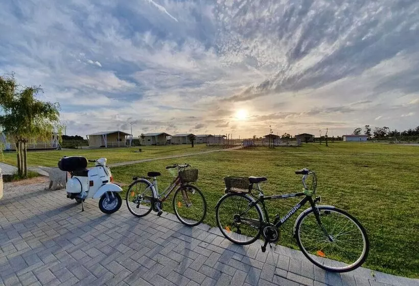 ホテル Vento Etrusco   Camping