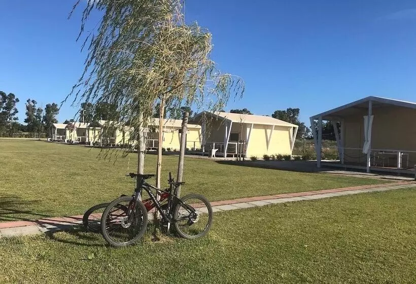 ホテル Vento Etrusco   Camping