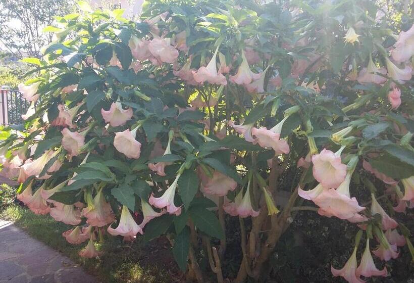 Nocleg ze śniadaniem Cusanarella Mia