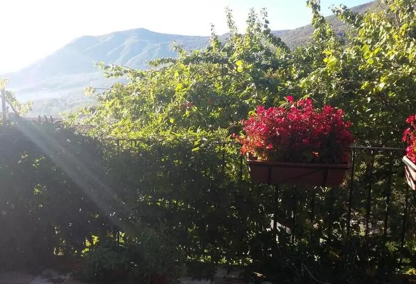 ベッドアンドブレックファースト Cusanarella Mia