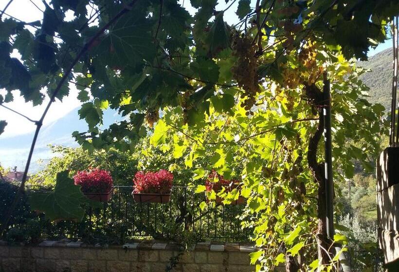 Nocleg ze śniadaniem Cusanarella Mia