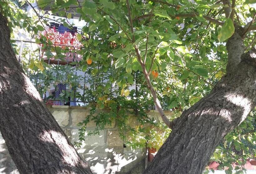 Nocleg ze śniadaniem Cusanarella Mia