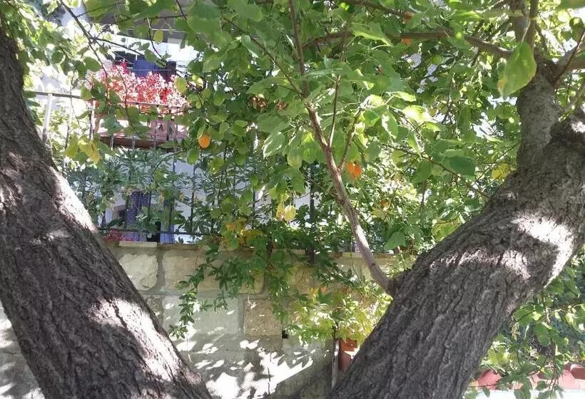 ベッドアンドブレックファースト Cusanarella Mia