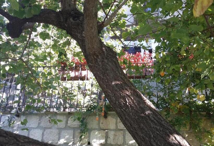 Nocleg ze śniadaniem Cusanarella Mia