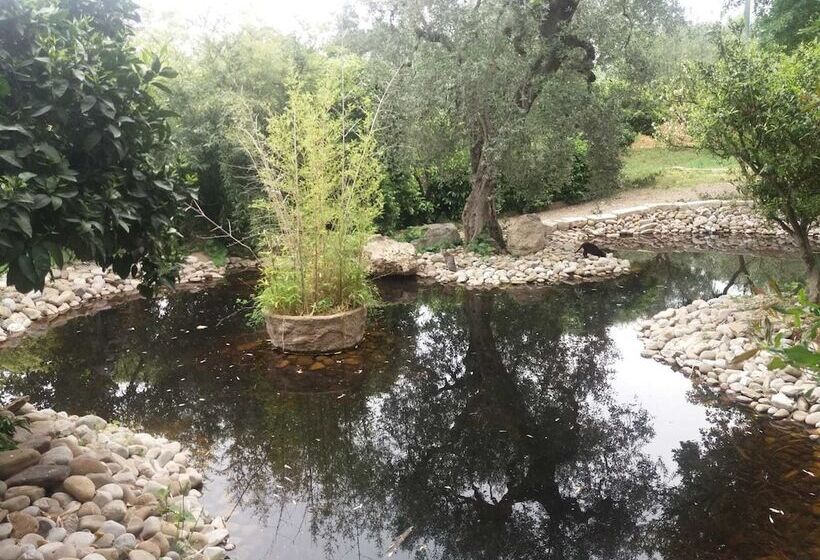 בית מלון כפרי Agriturismo Terranova