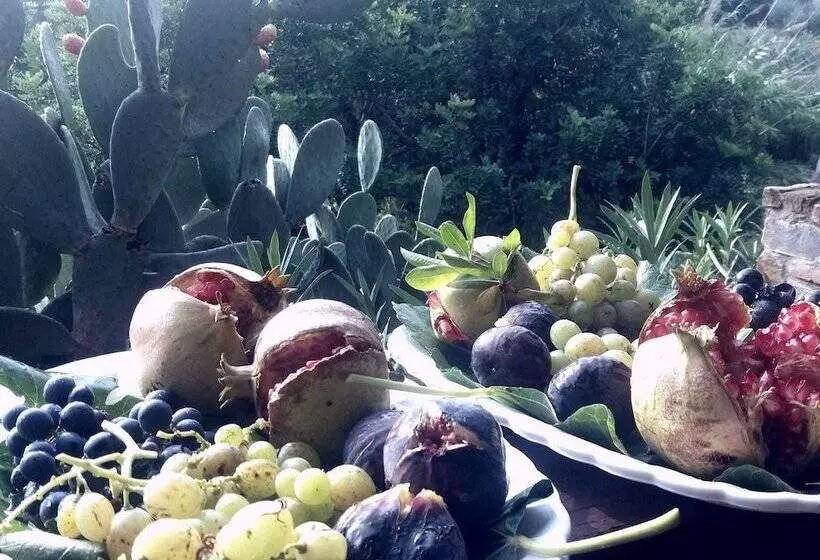 Maaseutuhotelli Agriturismo Terranova