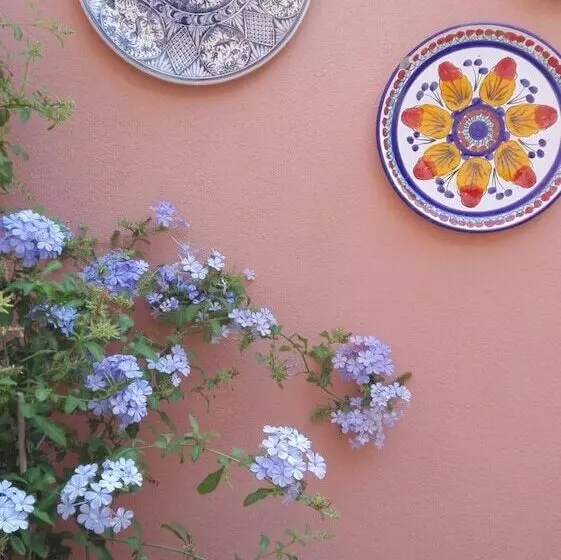 Santa Lucia B&b