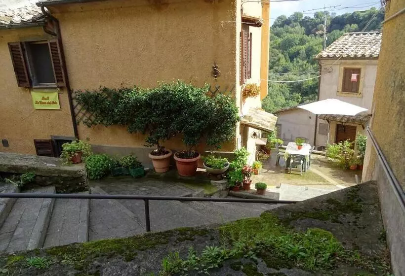 Aamiaismajoitus (B&B) La Casa Del Sole