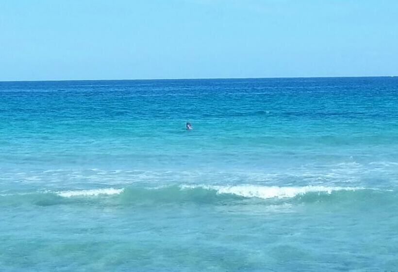 בית מלון כפרי Olivandro