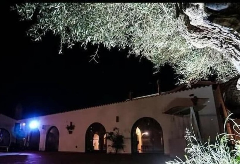 ベッドアンドブレックファースト Masseria Colle Carro Ba07200451000019667