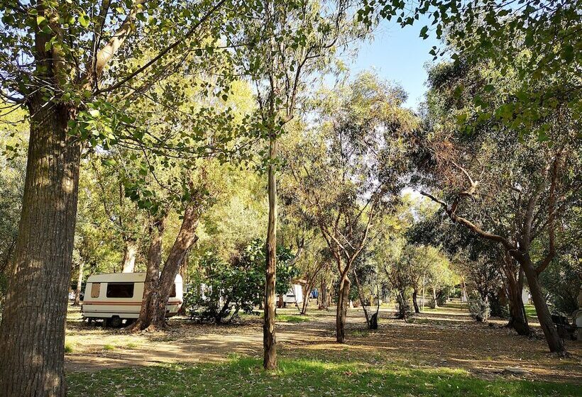 هتل Village Camping Fico D India