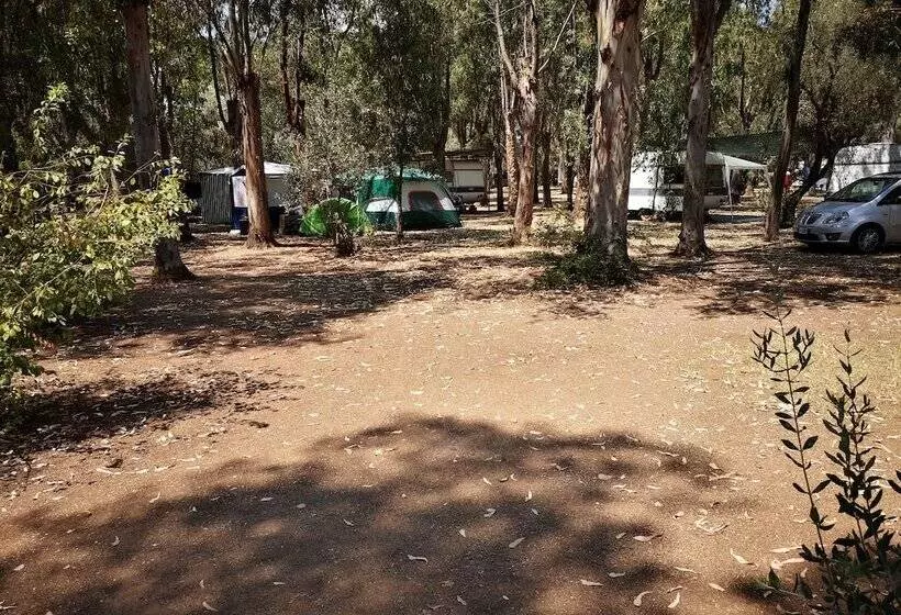 ホテル Village Camping Fico D India