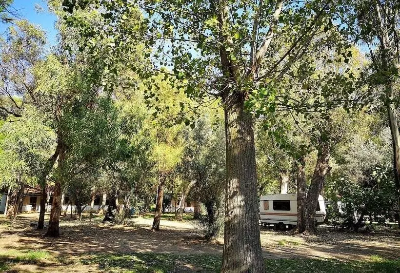 ホテル Village Camping Fico D India