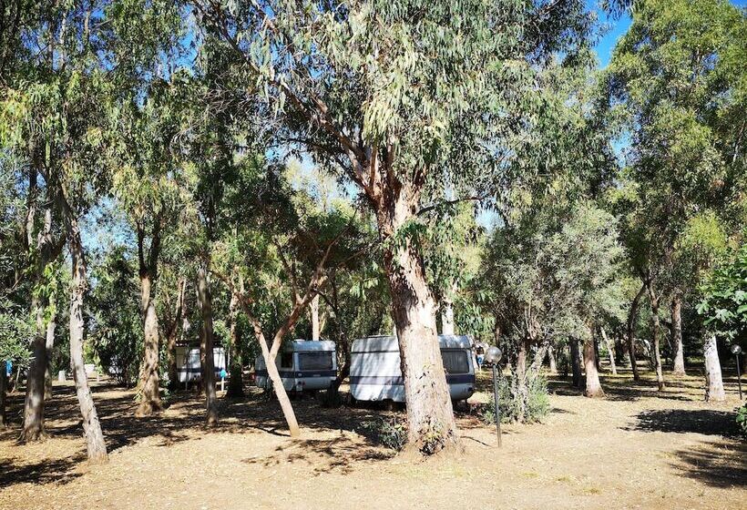 هتل Village Camping Fico D India