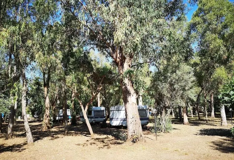 ホテル Village Camping Fico D India