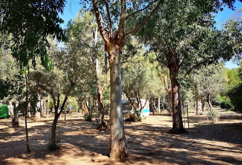 هتل Village Camping Fico D India