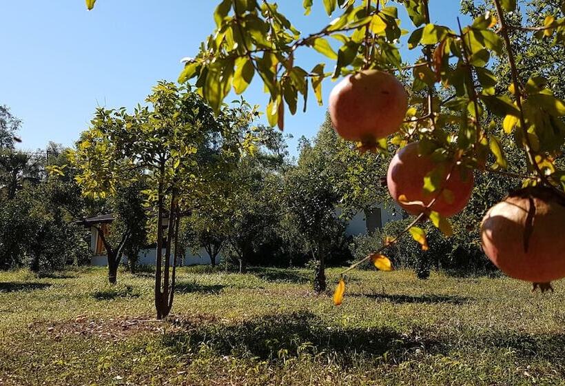 هتل Village Camping Fico D India