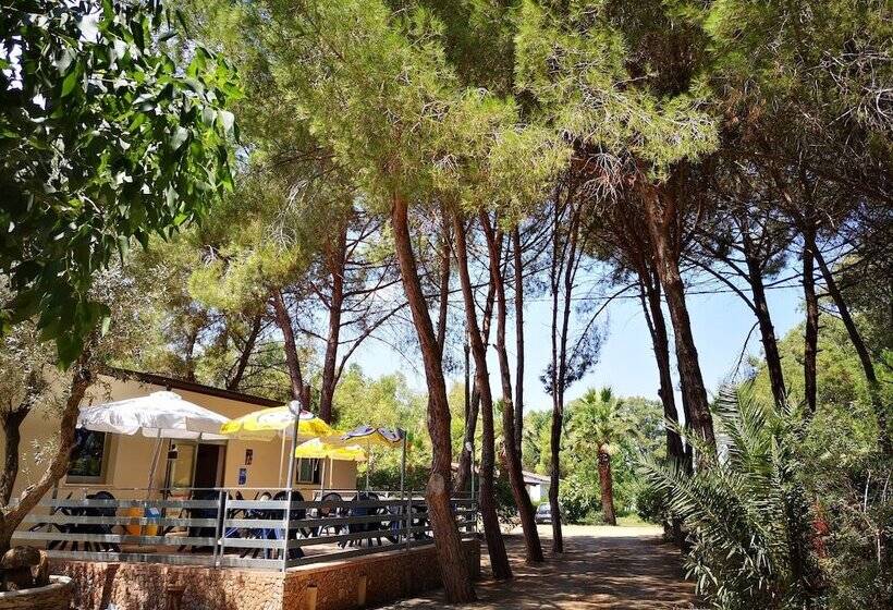 هتل Village Camping Fico D India