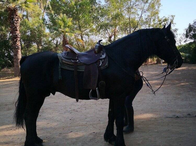 هتل Village Camping Fico D India