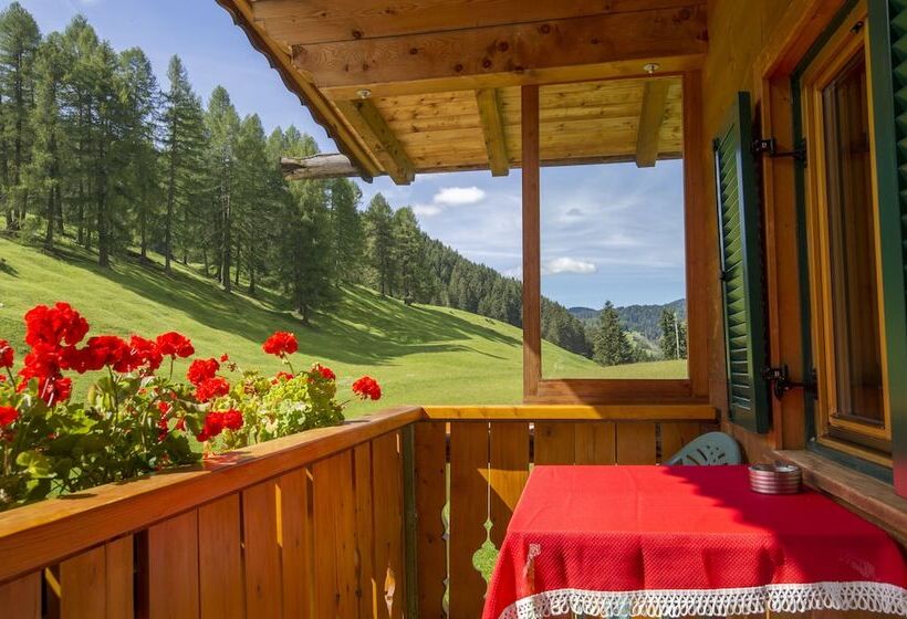 בית מלון כפרי Villa Insam