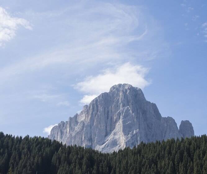 בית מלון כפרי Villa Insam