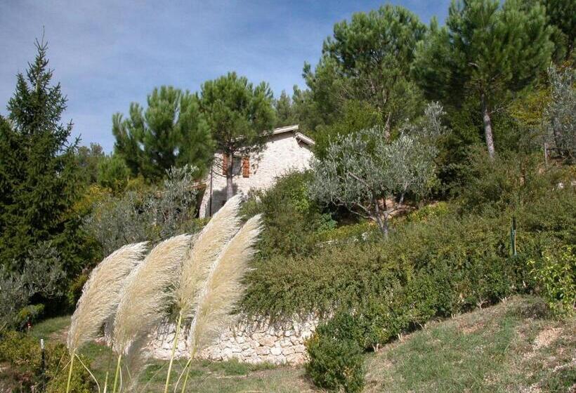 Agriturismo Istrice Innamorato