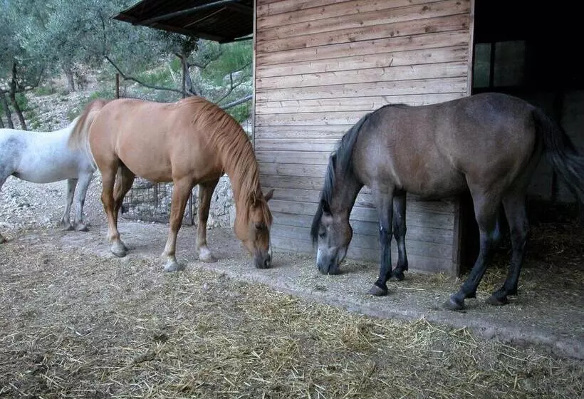 Agriturismo Istrice Innamorato