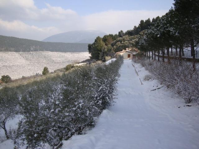 Agriturismo Istrice Innamorato