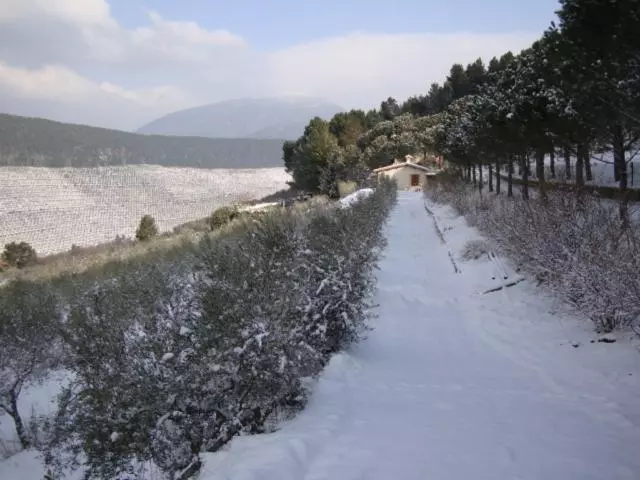 Agriturismo Istrice Innamorato
