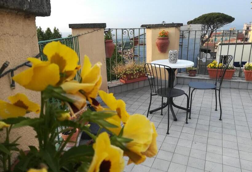 B&b Buonfiglio Cicconcelli   Terrazza Panoramica